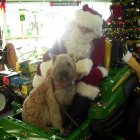 lola-with-santa