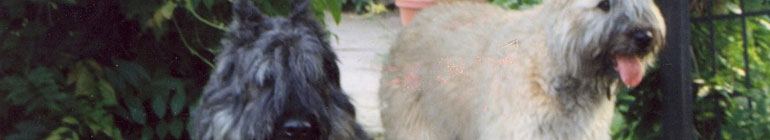 Finding Right Evaluator >> Mohr Bouvier des Flandres - Karl and Linda Mohr ... Finding Right Evaluator >> Mohr Bouvier des Flandres - Karl and Linda Mohr ...
